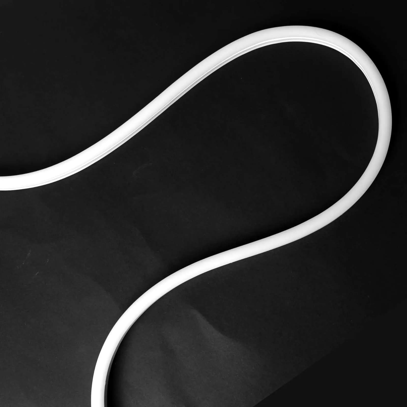 Neon Flex & Strip Light